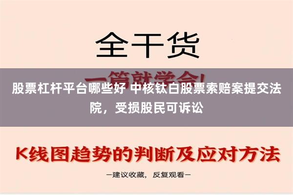 股票杠杆平台哪些好 中核钛白股票索赔案提交法院，受损股民可诉讼