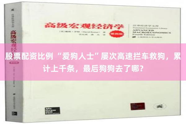 股票配资比例 “爱狗人士”屡次高速拦车救狗，累计上千条，最后狗狗去了哪？