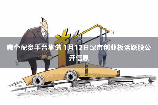 哪个配资平台靠谱 1月12日深市创业板活跃股公开信息