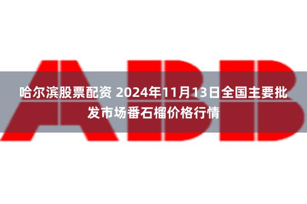 哈尔滨股票配资 2024年11月13日全国主要批发市场番石榴价格行情