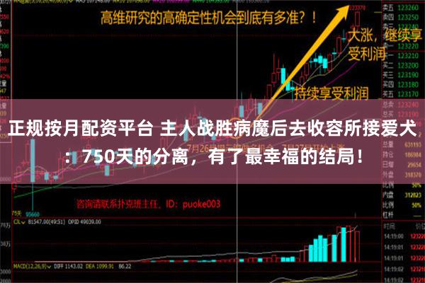 正规按月配资平台 主人战胜病魔后去收容所接爱犬：750天的分离，有了最幸福的结局！