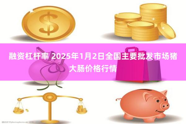 融资杠杆率 2025年1月2日全国主要批发市场猪大肠价格行情