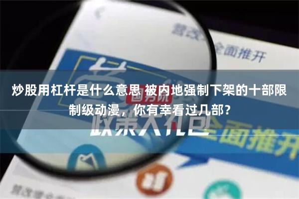 炒股用杠杆是什么意思 被内地强制下架的十部限制级动漫，你有幸看过几部？