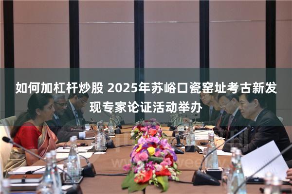 如何加杠杆炒股 2025年苏峪口瓷窑址考古新发现专家论证活动举办